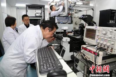 南京大學(xué)團(tuán)隊(duì)五年“錘煉”納級探針 刺入單細(xì)胞探索分子活動(dòng)